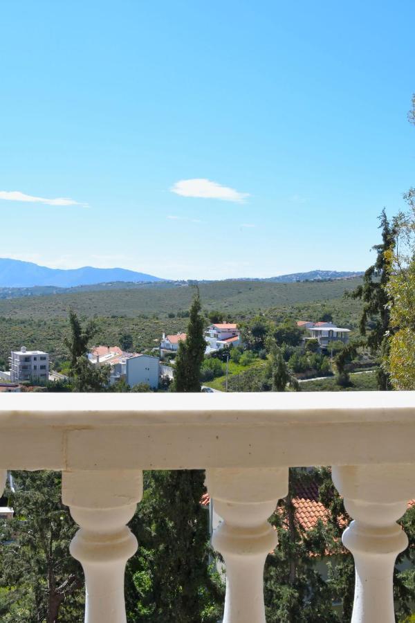 Villa Priamos Kalitehnoupoli Rafína Esterno foto