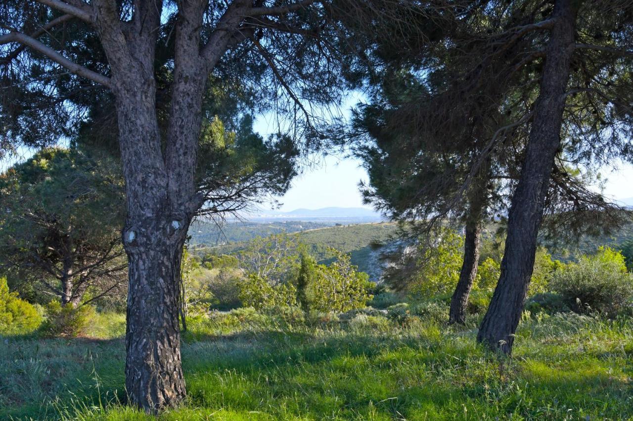 Villa Priamos Kalitehnoupoli Rafína Esterno foto